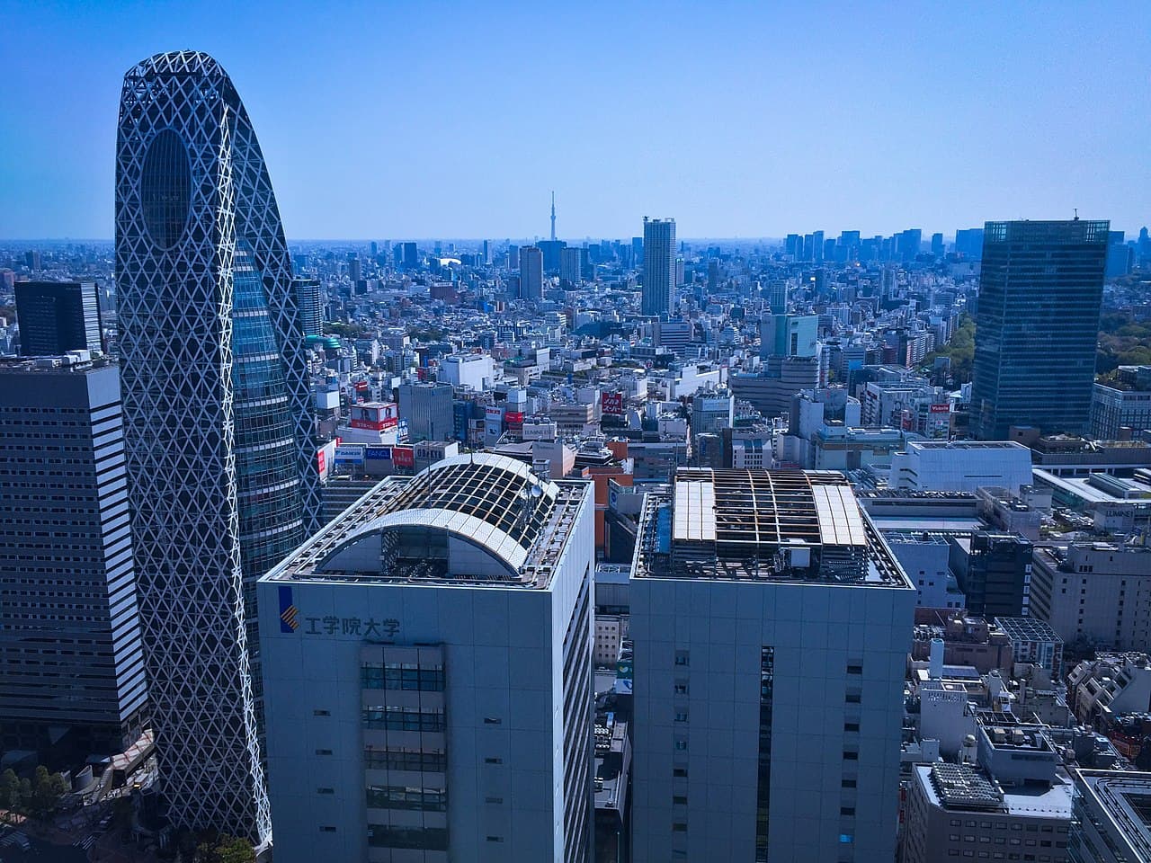 東京・西新宿のオフィスタワー群。外資系企業のオフィスが集まるビジネス街をイメージした一枚