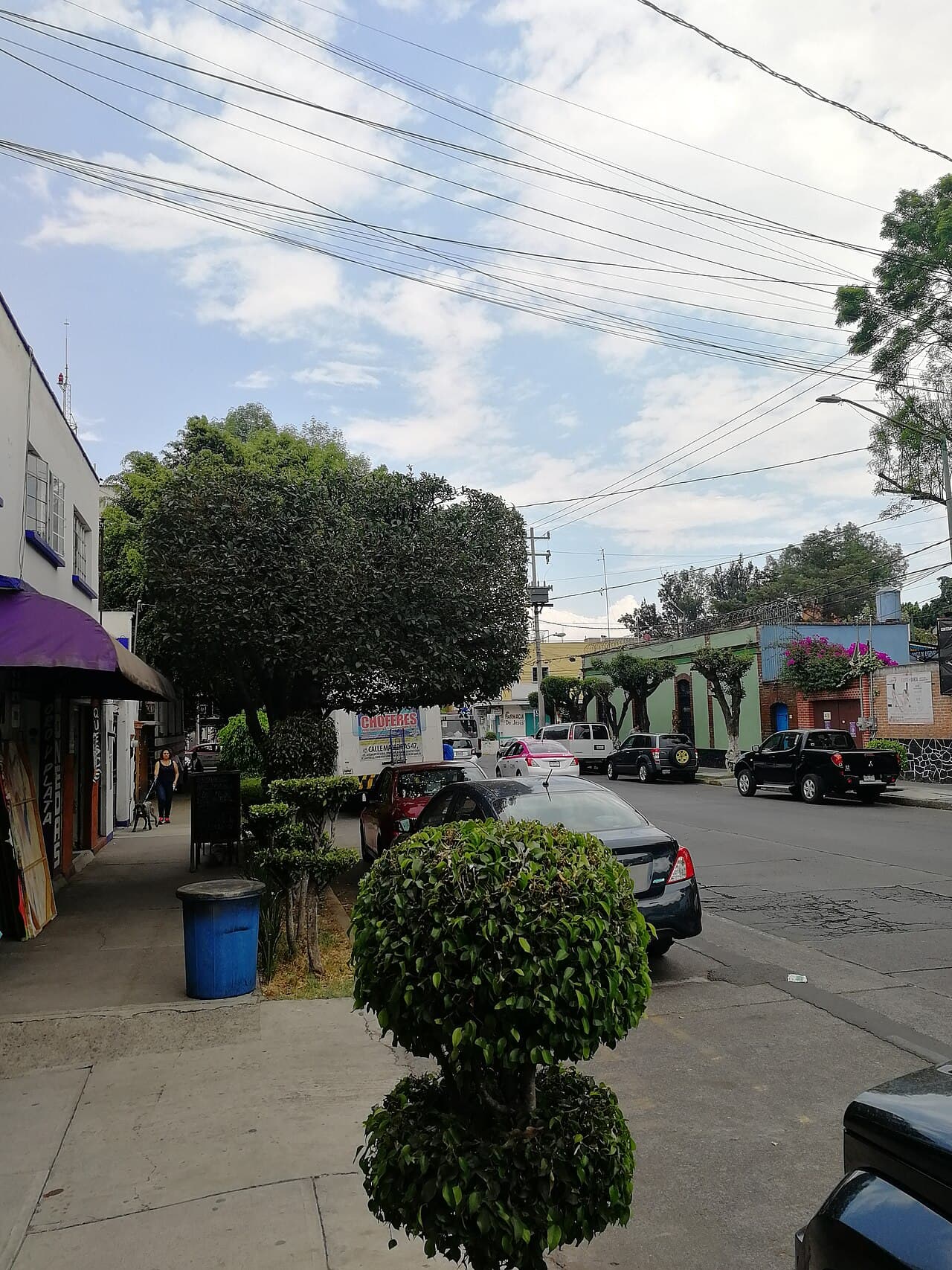メキシコシティ・コヨアカン地区の住宅街の通り