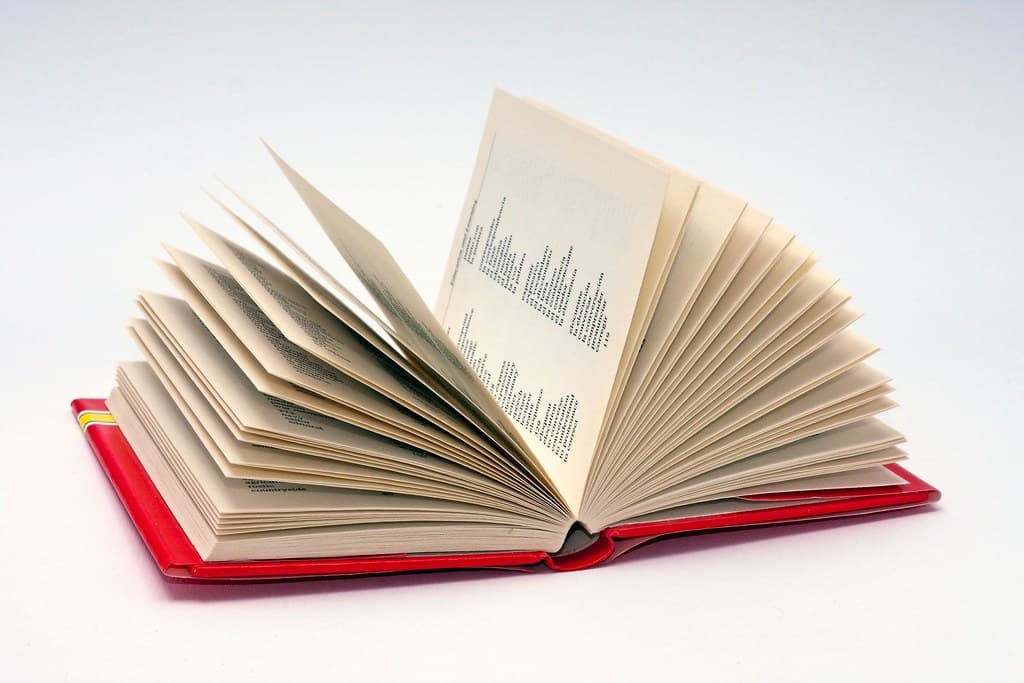 宙に舞うスペイン語辞書のページ — DELE B1で扱う語彙・表現の広がりをイメージした一枚