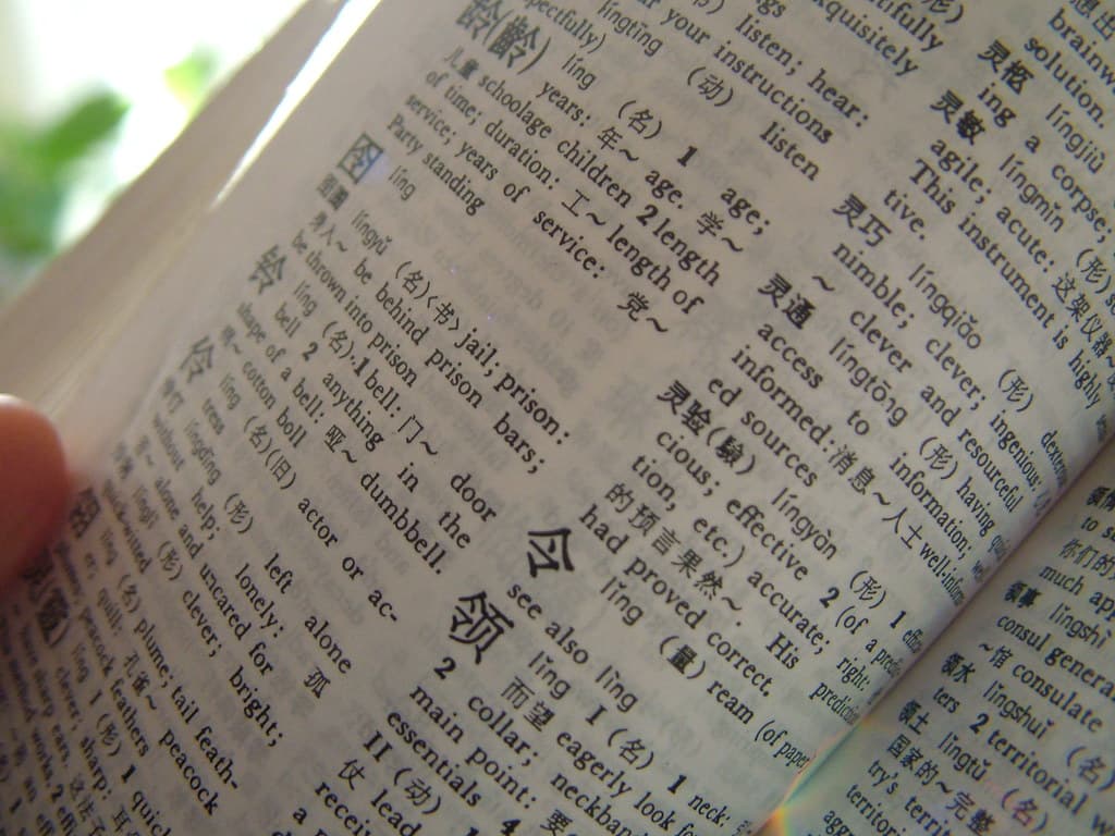 中国語の辞書のページ。HSK対策の独学も、公式サンプル問題と教材を往復しながら語彙を固める地道な作業が中心になる。